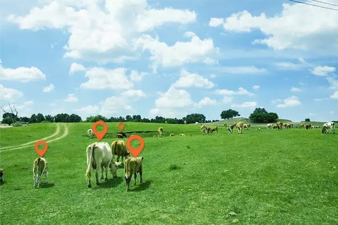 智慧畜牧解决方案